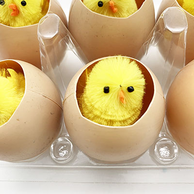 6pcs Easter Hatch Chick In Egg