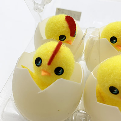 6pcs Easter Hatch Chick In Egg
