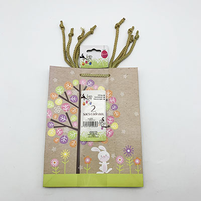 2pc Easter Gift Paper Bag