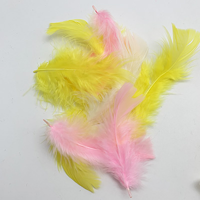 Easter Crafting Feathers