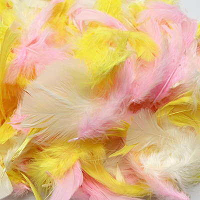Easter Crafting Feathers