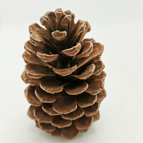 Christmas cinnamon scented pinecone