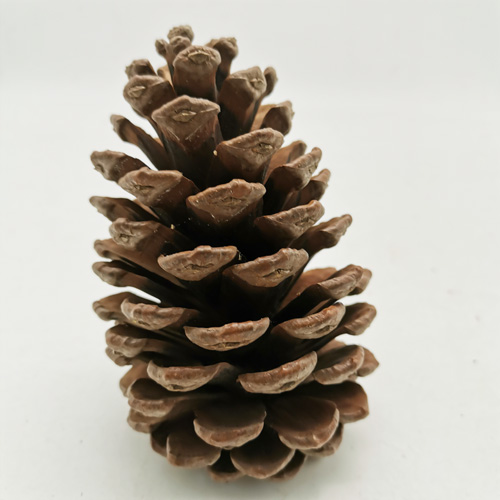 Christmas cinnamon scented pinecone
